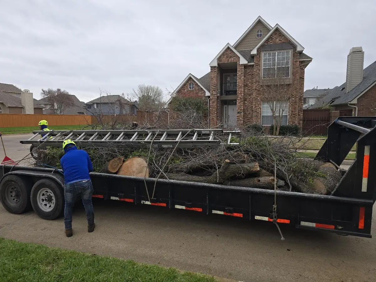 Expert Tree Fertilization with proper safety equipment in Commerce
